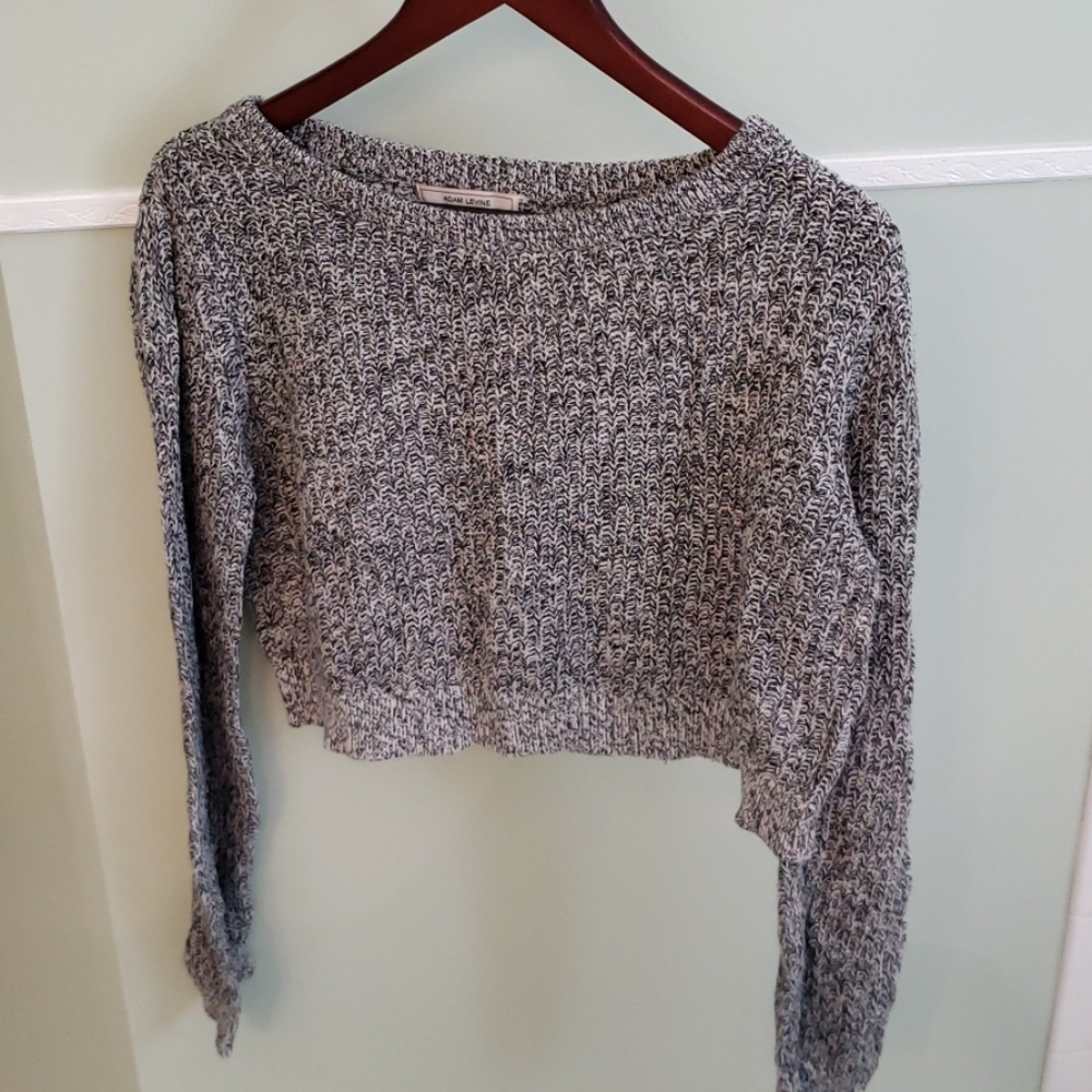 Adam Levine cropped sweater